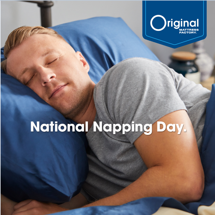 The Art and Science Behind Napping The Original Mattress Factory